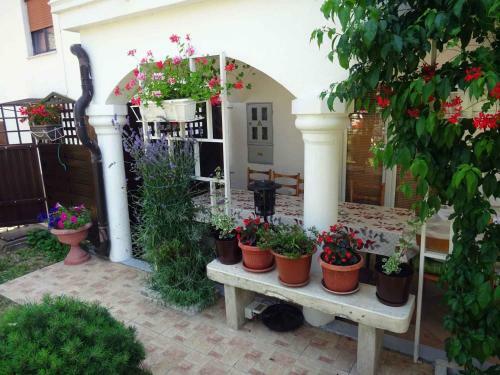 Holiday Home In Muntic/istrien 10956
