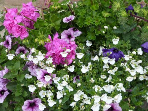 G�te Et Relais Equestre De Marie