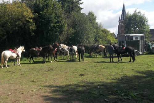 G�te Et Relais Equestre De Marie