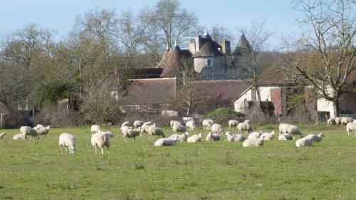 Le Logis Bed & Breakfast