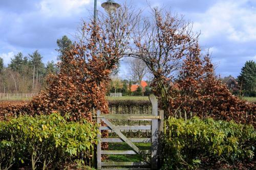 B&B Maarle