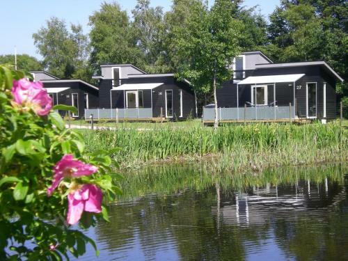 Asaa Camping & Cottages
