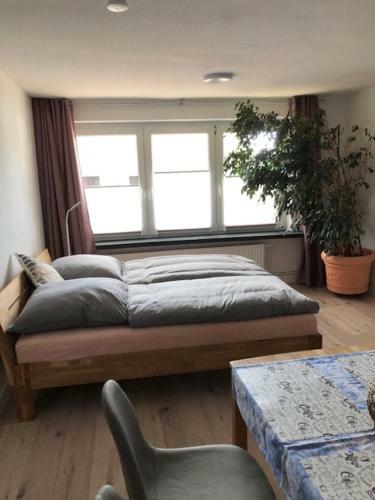 Apartamento Die Gr�fin Auf R�gen - Ferienappartements