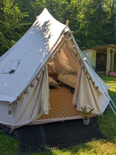 Stay Wild Retreats