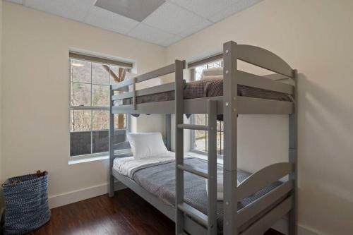 Cabin Near Downtown Avl- Hot Tub- Pet Friendly
