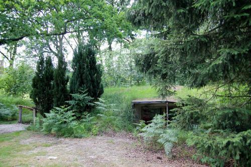 Bed & Breakfast Le Nid Dans Les Bruy�res
