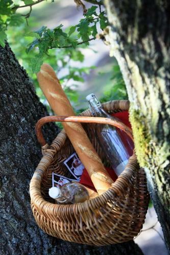 Bed & Breakfast Le Nid Dans Les Bruy�res