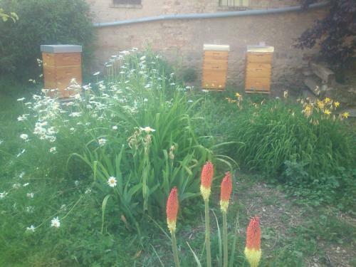 Apartamento Fewo Gutendorf