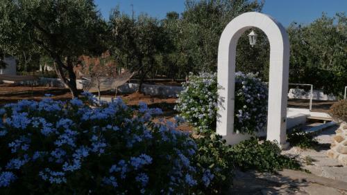 Ricchi Di Stelle
