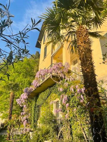 Apartamento Villa Gina