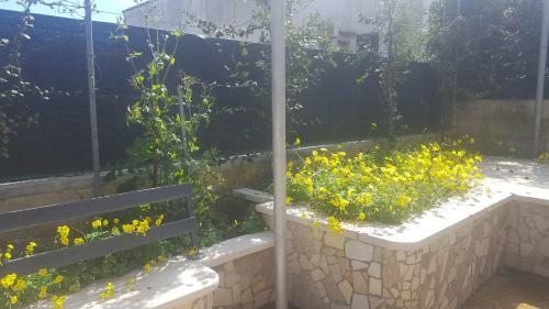 Villa Emanuele - A Soli 100 Mt Dal Mare