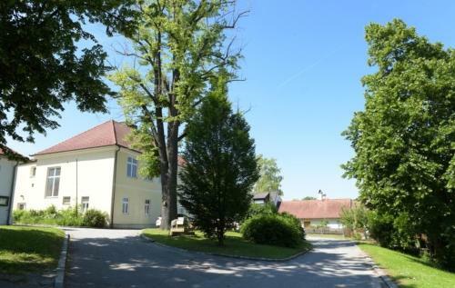 Apartamento G�stehaus Nitsch