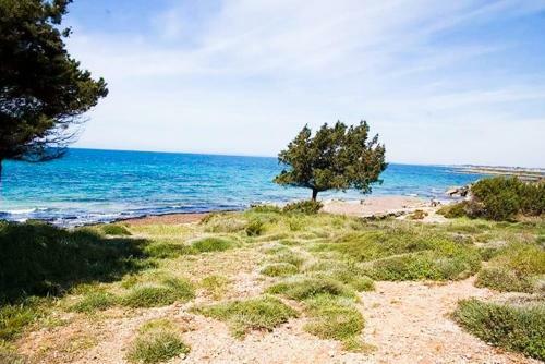 A House Between Ancient Olympia And The Ionian Sea