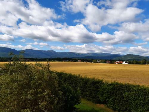 Agroturystyka Kolorowa Chata 6km Od Karpacza