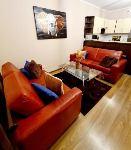 Apartament Pod Sympatycznym S?oniem.