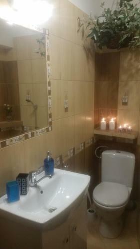 Apartament Bieszczady