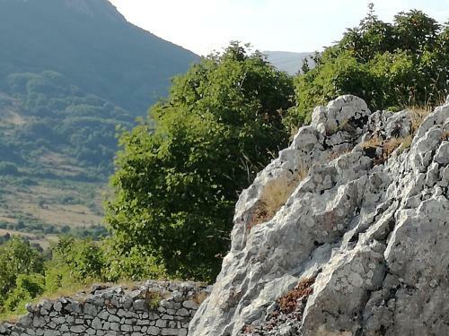Bed & Breakfast Antico Borgo