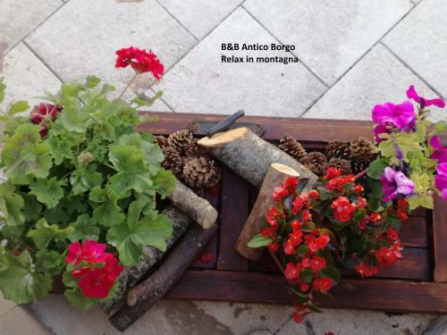 Bed & Breakfast Antico Borgo