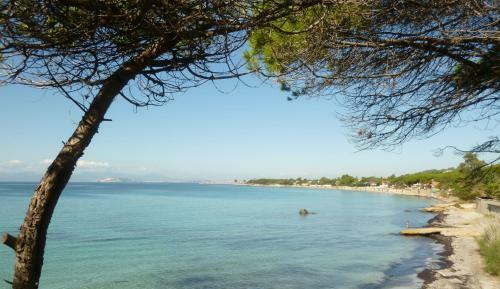 Villetta A Schiera Vicino Al Mare