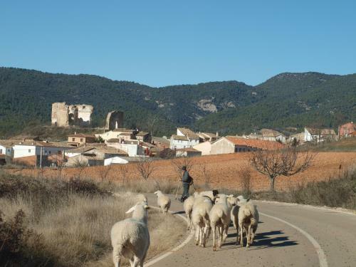Agroturismo Alojamiento Tur�stico "el Torre�n"