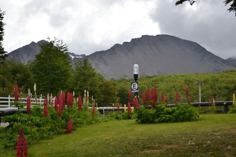 Hotel Altos