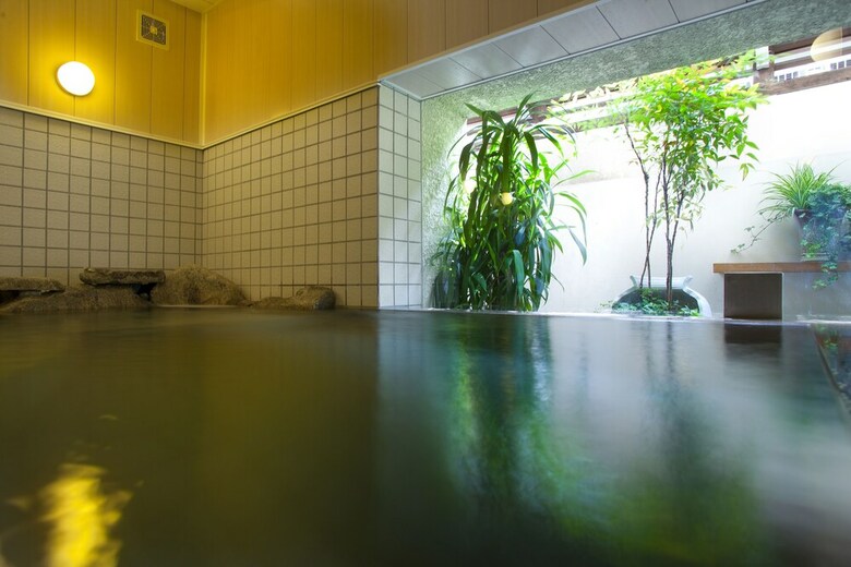 Ryokan Seiryu