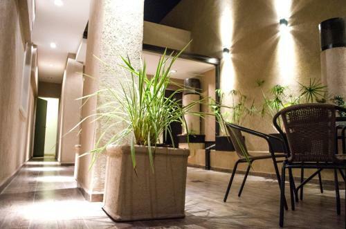 Hotel Vina De Italia