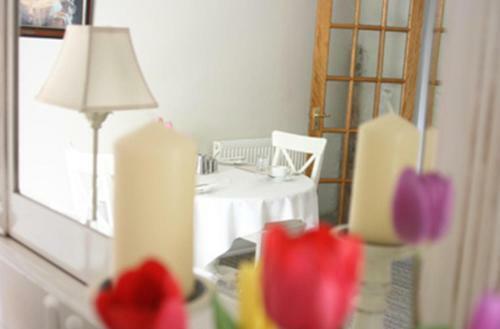 Bed & Breakfast Halwell Lodge