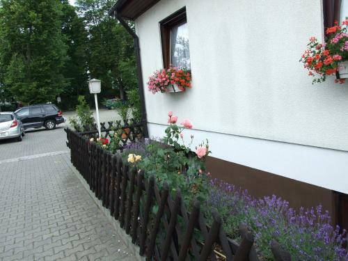 Hostal G�stehaus Palmengarten