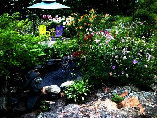 Laughing Waters Bed & Breakfast And Vacation Rental