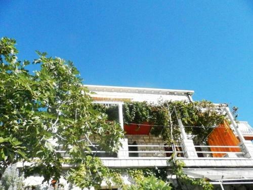 Apartments Neve