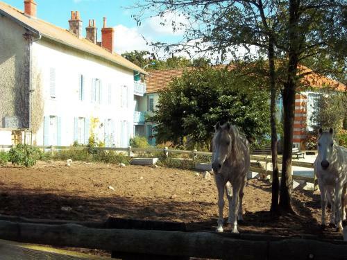 Hostal La Ferme Antoinette - Le Cheval Autrement