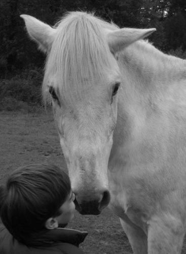Hostal La Ferme Antoinette - Le Cheval Autrement