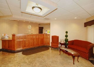 Hotel Comfort Inn Boston/woburn