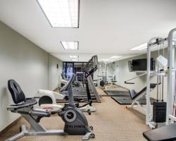 Hotel Comfort Inn Boston/woburn