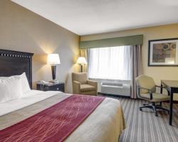 Hotel Comfort Inn Boston/woburn