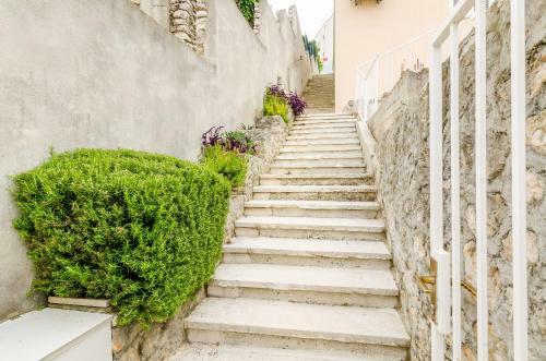 Apartments Franceska