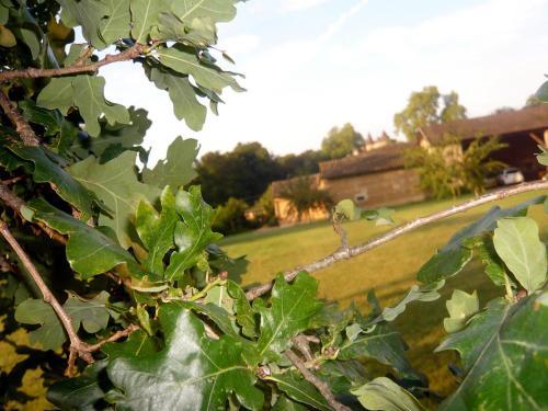 Hostal Bed & Breakfast - Maison De Marie