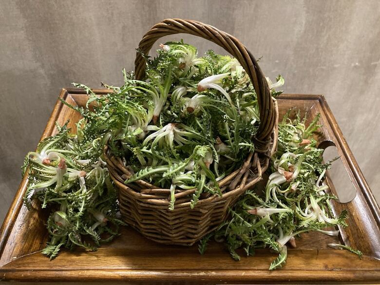 Hotel Del Prado