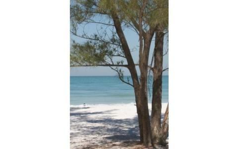 Apartamento Affordable Beach Condos