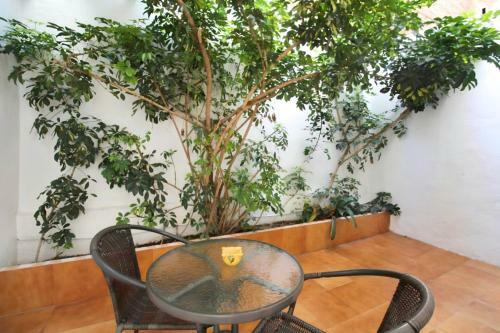 Increible Apartamento Con Terraza Al Lado De Torres De Quart