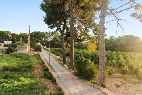 Huerto Valenciano - Sol Y Tranquilidad - Piscina