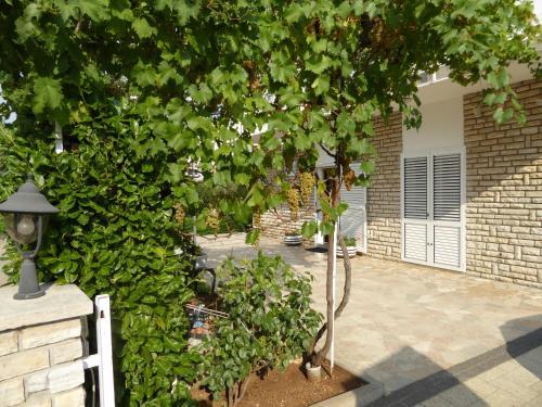 Apartments Bojanic