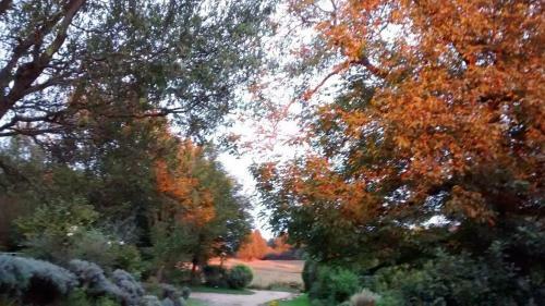 Bed & Breakfast La Grange Tranquille