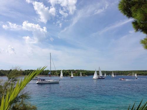 Hotel Illyrian Resort