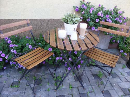 Hostal Pension Paldus