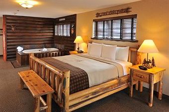 Stoney Creek Hotel & Conference Center - Moline