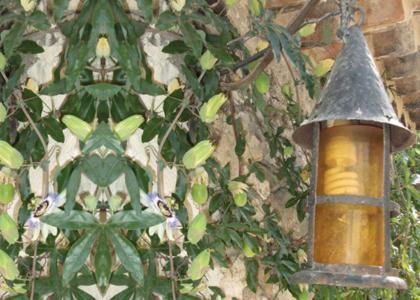 Bed & Breakfast Mas Bella Cortis