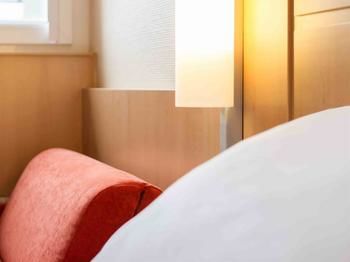Hotel Ibis Lyon Gerland Merieux