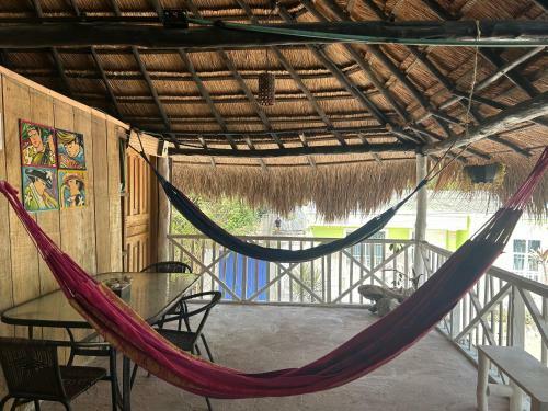 Punta Arena Ecohostal And Ecofit ? Your Eco-friendly Oasis